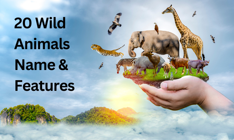 20 Wild Animals Name and Features