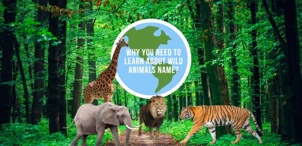 why you need to learn about Wild Animals name?