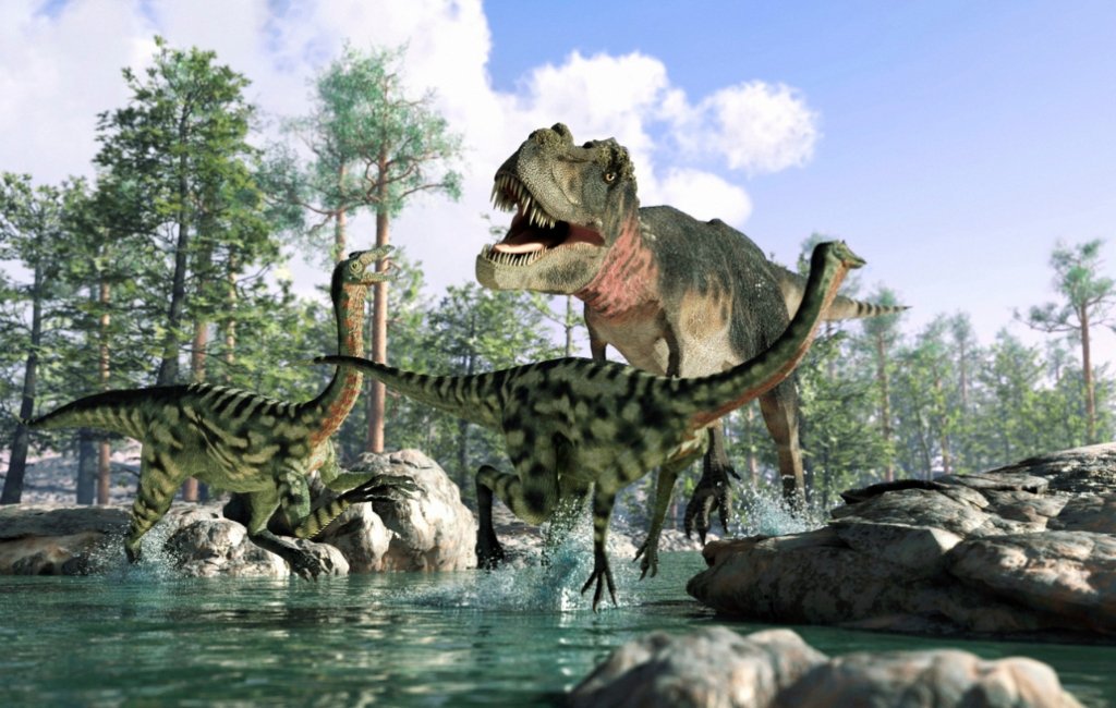 explore the types of dinosaurs with pictures