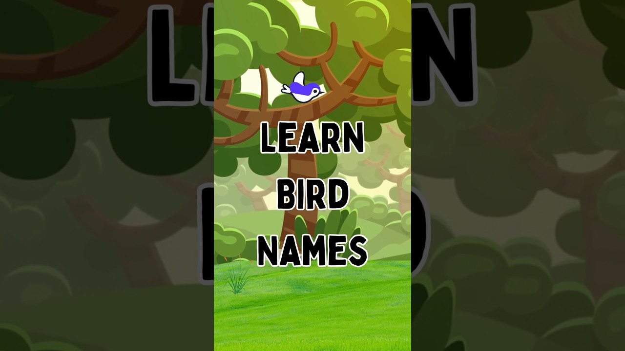 🐦🌈 "Tweet-Tastic Fun! 🎉 Learn Bird Names with a Smile 😄📚 | KidzNCrew"
