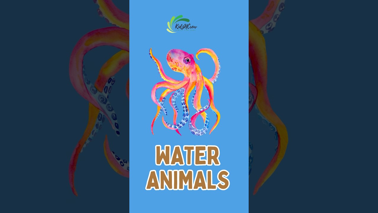 Explore Aquatic / Water Animals for Kids! 🐠 🌊 Fun Learning with KidzNCrew