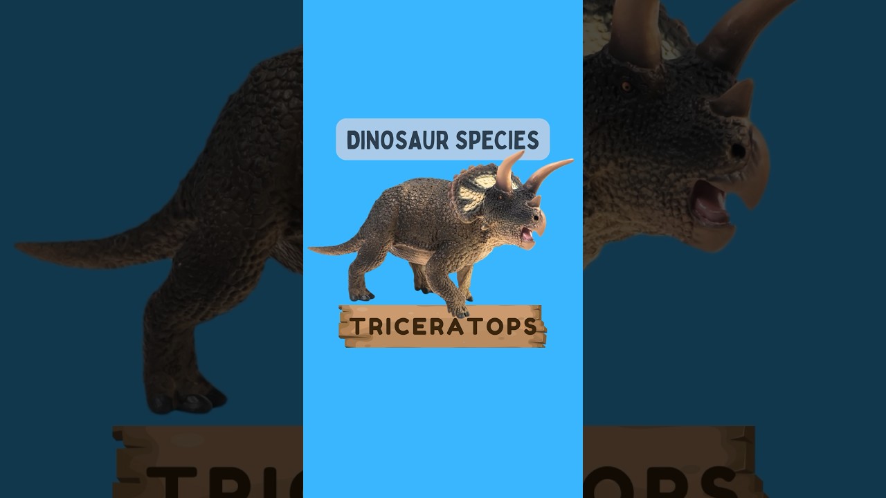 Triceratops: The Horned Giant of the Prehistoric World