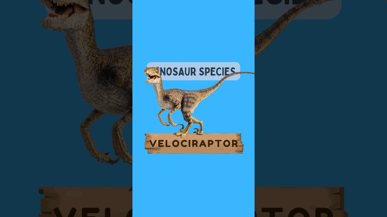 Velociraptors: Fierce Predators of the Prehistoric World