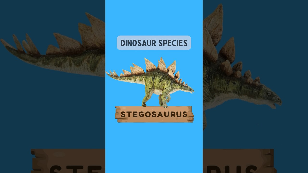 Unveiling the Mysterious Stegosaurus: Wonders of the Jurassic Era  #jurassicworld #dinosaurs
