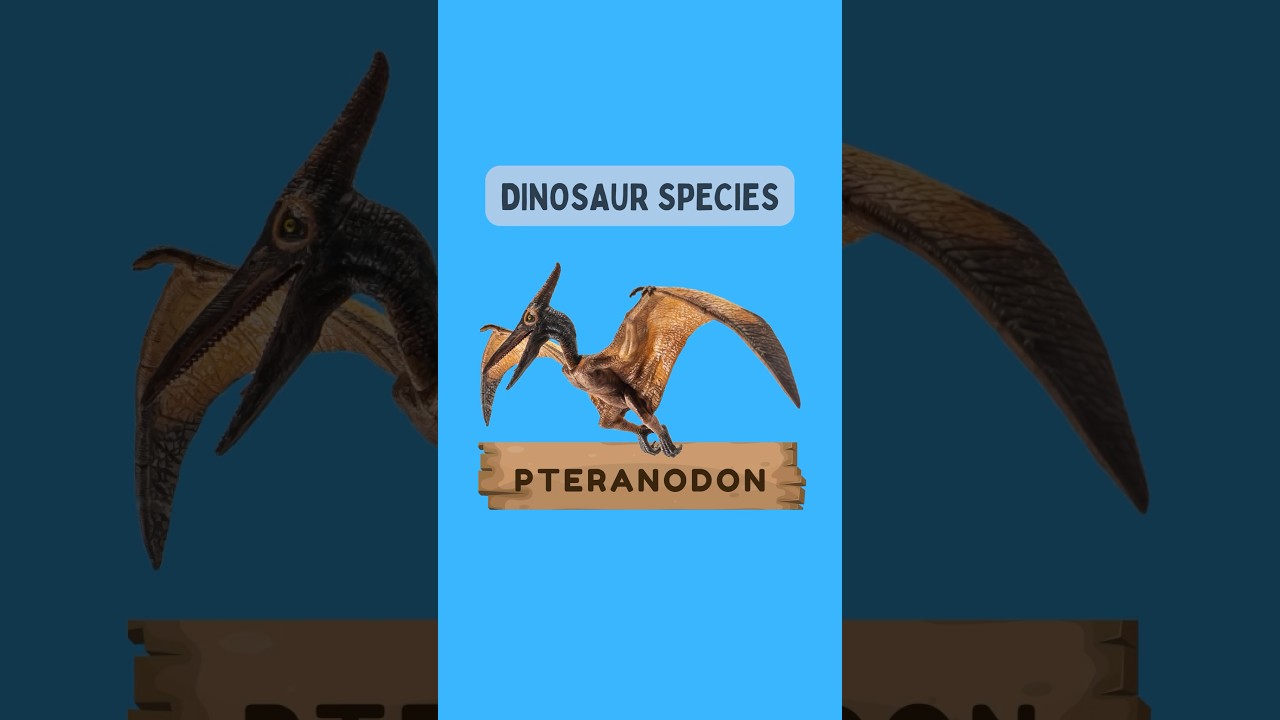 Majestic Pteranodons: Ancient Sky Kings of Prehistory  #kidzncrew #shorts