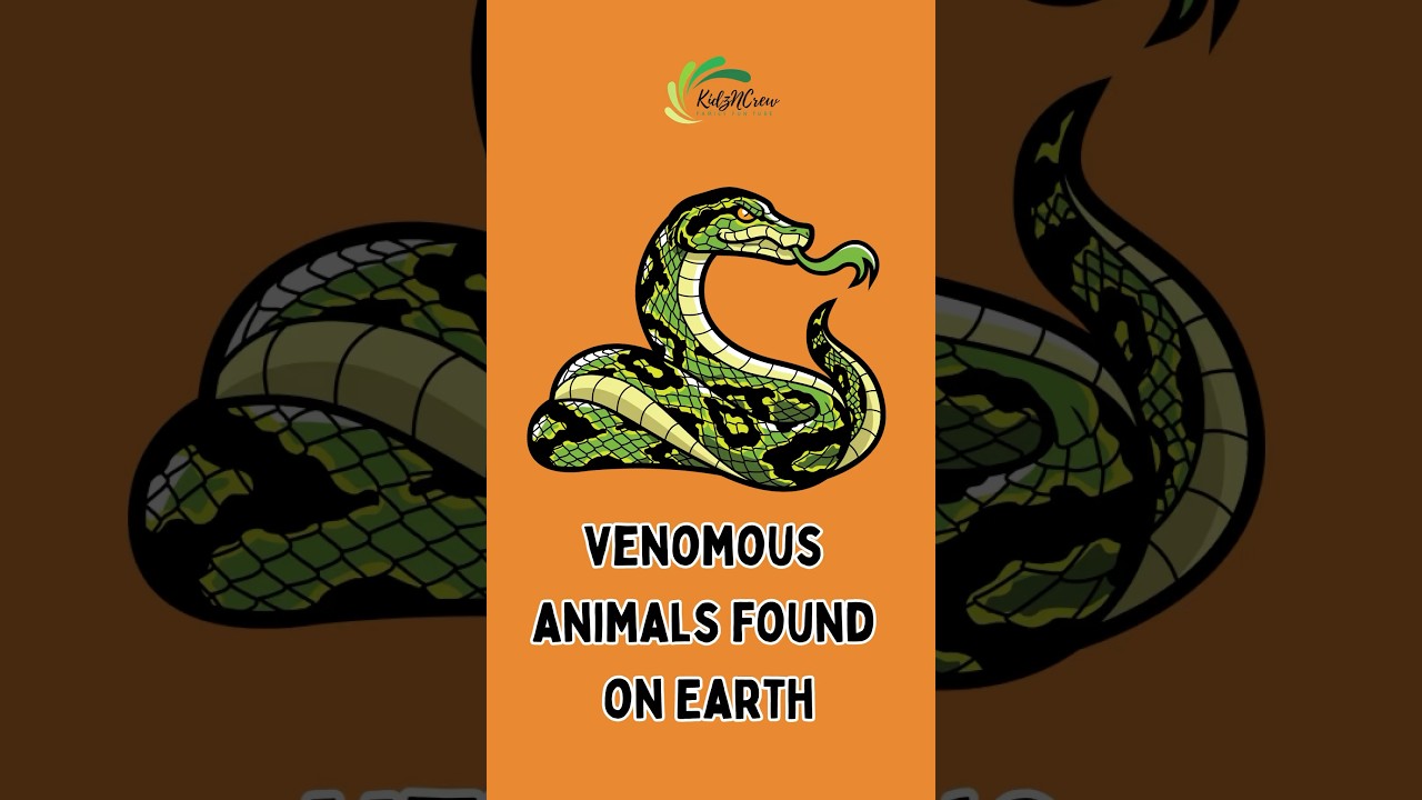 Deadly Encounters: Exploring Earth's Most Venomous Animals 🐍🔥 #shorts