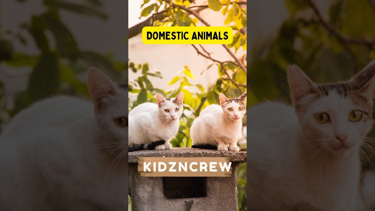 Fun with Domestic Animals! 🐶🐱🐰 #shorts #kidzncrew